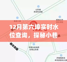 探秘第六埠水位站，实时查询体验与神秘小巷揭秘