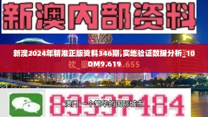 新澳2024年精准正版资料346期,实地验证数据分析_10DM9.619