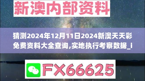 猜测2024年12月11日2024新澳天天彩免费资料大全查询,实地执行考察数据_iPad4.462