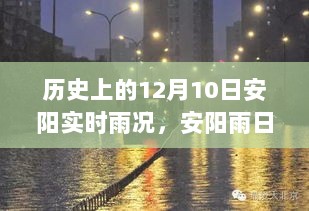 安阳雨日，友谊与陪伴的温馨故事在雨声中绽放