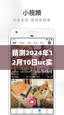 时光轻抚UC角落，温馨日常故事，共度美好时光（2024年12月10日UC实时）