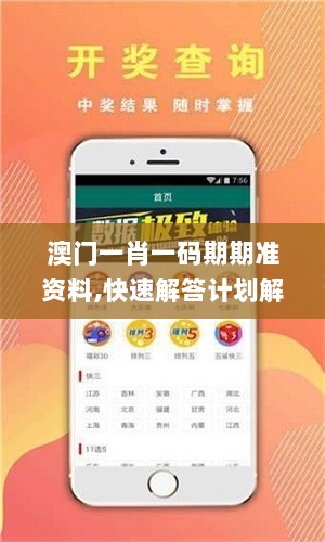 澳门一肖一码期期准资料,快速解答计划解析_AP13.756