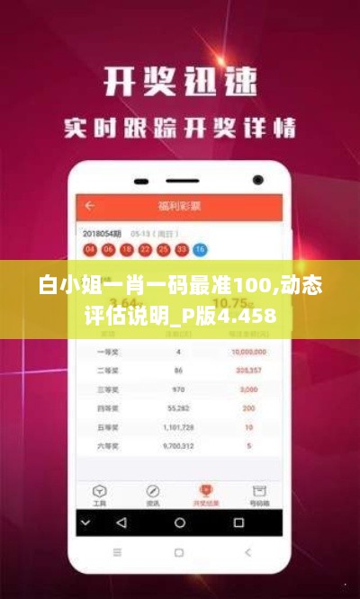 白小姐一肖一码最准100,动态评估说明_P版4.458