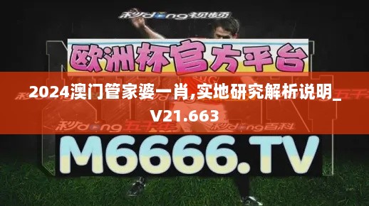 2024澳门管家婆一肖,实地研究解析说明_V21.663