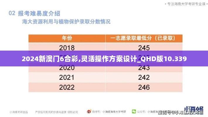 2024新澳门6合彩,灵活操作方案设计_QHD版10.339