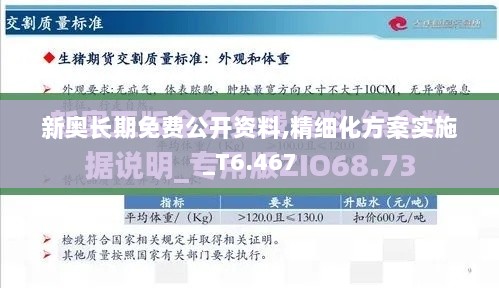 新奥长期免费公开资料,精细化方案实施_T6.467