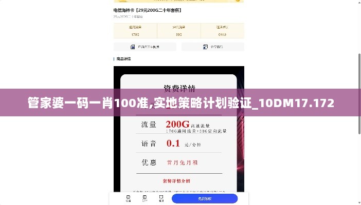 管家婆一码一肖100准,实地策略计划验证_10DM17.172