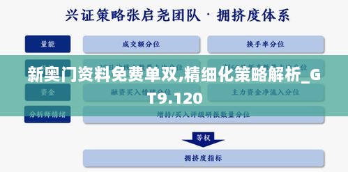 新奥门资料免费单双,精细化策略解析_GT9.120