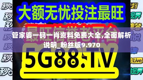 管家婆一码一肖资料免费大全,全面解析说明_粉丝版9.970