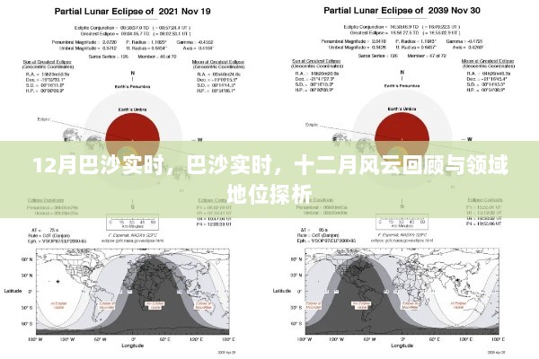 十二月巴沙实时风云回顾与领域地位深度探析