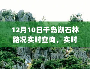 12月10日千岛湖石林路况实时更新，畅游无忧！