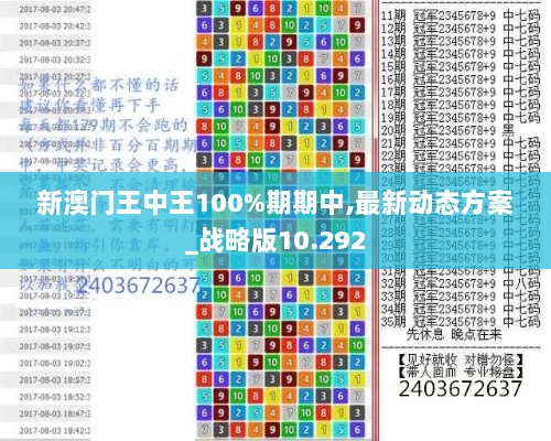 新澳门王中王100%期期中,最新动态方案_战略版10.292