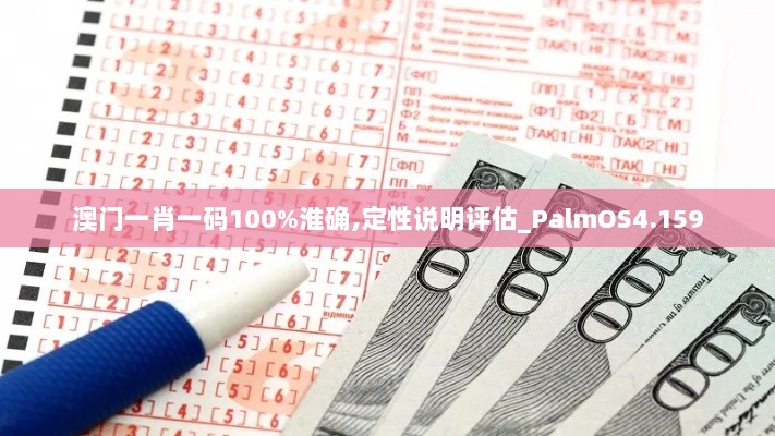 澳门一肖一码100%淮确,定性说明评估_PalmOS4.159