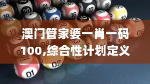 澳门管家婆一肖一码100,综合性计划定义评估_创新版7.853