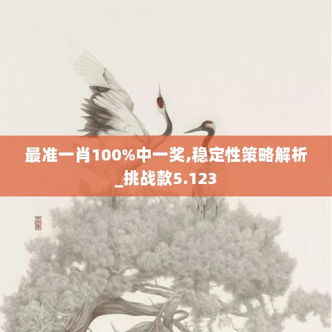 最准一肖100%中一奖,稳定性策略解析_挑战款5.123