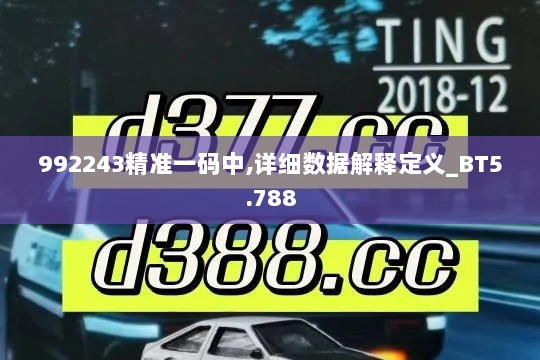 992243精准一码中,详细数据解释定义_BT5.788