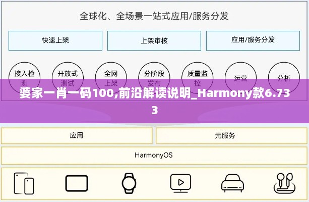 婆家一肖一码100,前沿解读说明_Harmony款6.733