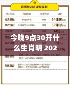 今晚9点30开什么生肖明 2024,深度评估解析说明_豪华版3.240