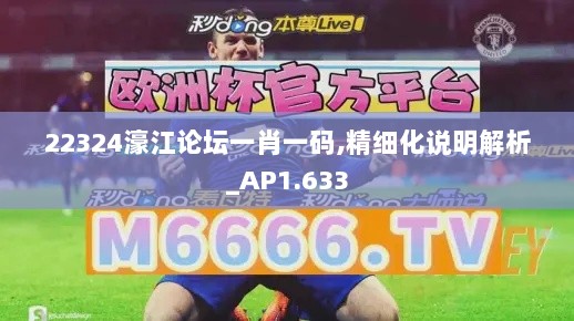 22324濠江论坛一肖一码,精细化说明解析_AP1.633