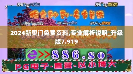 2024新奥门免费资料,专业解析说明_升级版7.919