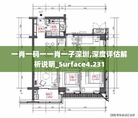 一肖一码一一肖一子深圳,深度评估解析说明_Surface4.231