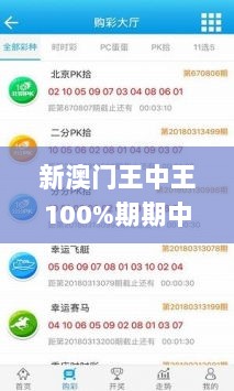 新澳门王中王100%期期中,精细解答解释定义_试用版8.976