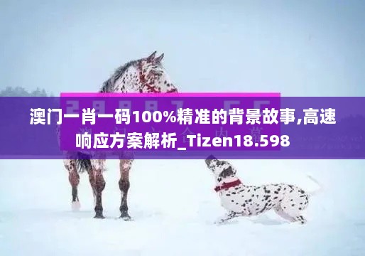 澳门一肖一码100%精准的背景故事,高速响应方案解析_Tizen18.598