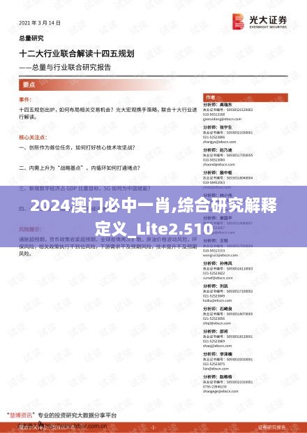 2024澳门必中一肖,综合研究解释定义_Lite2.510