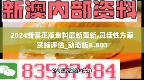 2024新澳正版资料最新更新,灵活性方案实施评估_动态版8.803