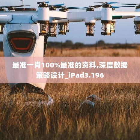 最准一肖100%最准的资料,深层数据策略设计_iPad3.196