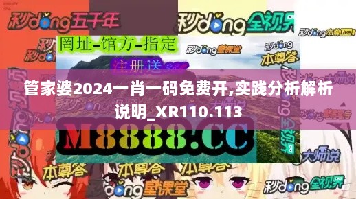 管家婆2024一肖一码免费开,实践分析解析说明_XR110.113