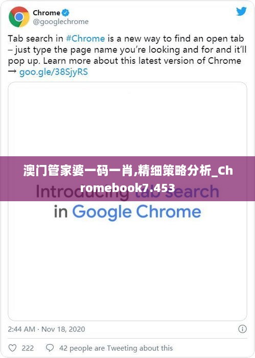 澳门管家婆一码一肖,精细策略分析_Chromebook7.453