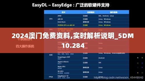 2024澳门免费资料,实时解析说明_5DM10.284