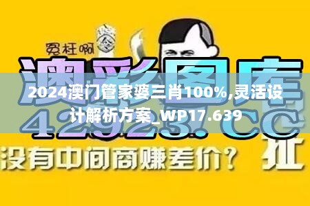 2024澳门管家婆三肖100%,灵活设计解析方案_WP17.639