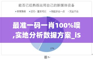 最准一码一肖100%噢,实地分析数据方案_iShop1.904