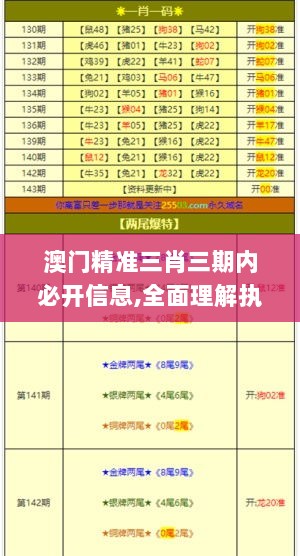 澳门精准三肖三期内必开信息,全面理解执行计划_专业款18.942