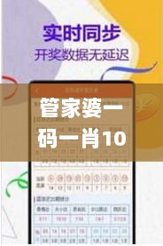 管家婆一码一肖100中奖青岛,安全执行策略_复古款9.158