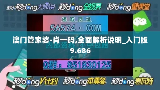 澳门管家婆-肖一码,全面解析说明_入门版9.686