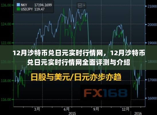 12月沙特币兑日元实时行情网全面解析与介绍