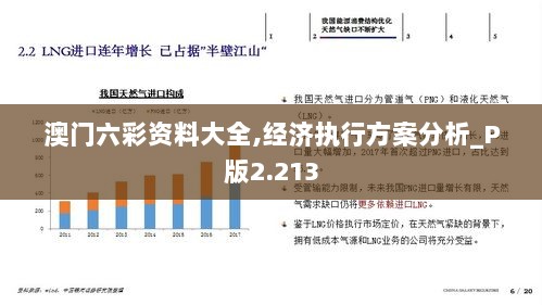 澳门六彩资料大全,经济执行方案分析_P版2.213