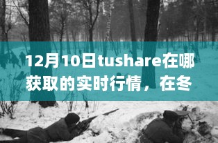 冬日暖阳下的Tushare实时行情探索，领略自然美景的风情展示