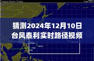 揭秘未来台风泰利在2024年12月10日的实时路径预测，专业科普文章解析视频内容上线！