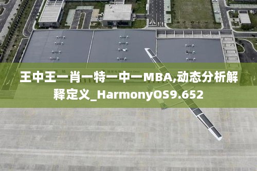 王中王一肖一特一中一MBA,动态分析解释定义_HarmonyOS9.652