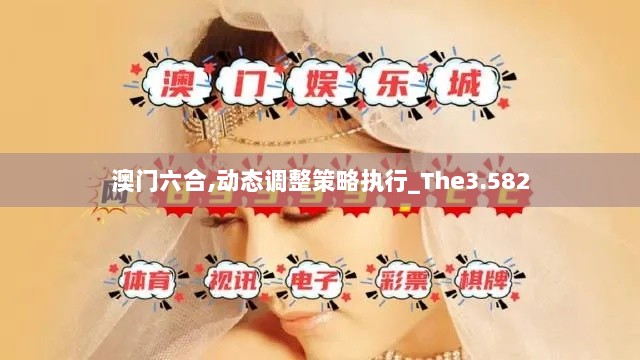 澳门六合,动态调整策略执行_The3.582