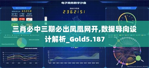 三肖必中三期必出凤凰网开,数据导向设计解析_Gold5.187