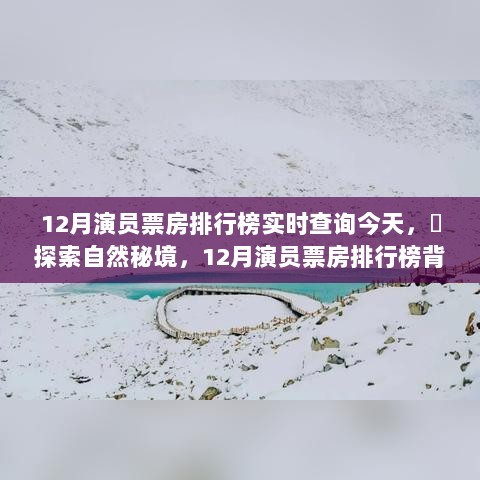 揭秘12月演员票房排行榜背后的旅行梦想，探索自然秘境，追寻内心的平和绿洲