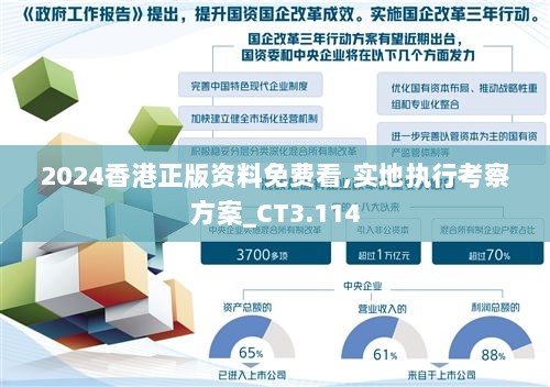 2024香港正版资料免费看,实地执行考察方案_CT3.114