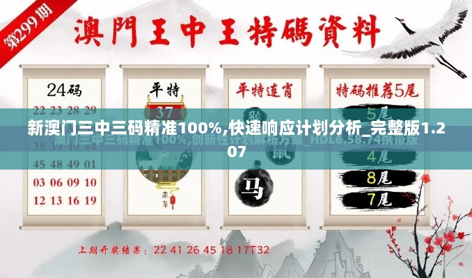 新澳门三中三码精准100%,快速响应计划分析_完整版1.207