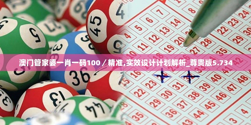 澳门管家婆一肖一码100／精准,实效设计计划解析_尊贵版5.734