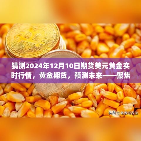 聚焦黄金期货行情，预测未来美元黄金走势分析——揭秘2024年12月10日的实时行情分析